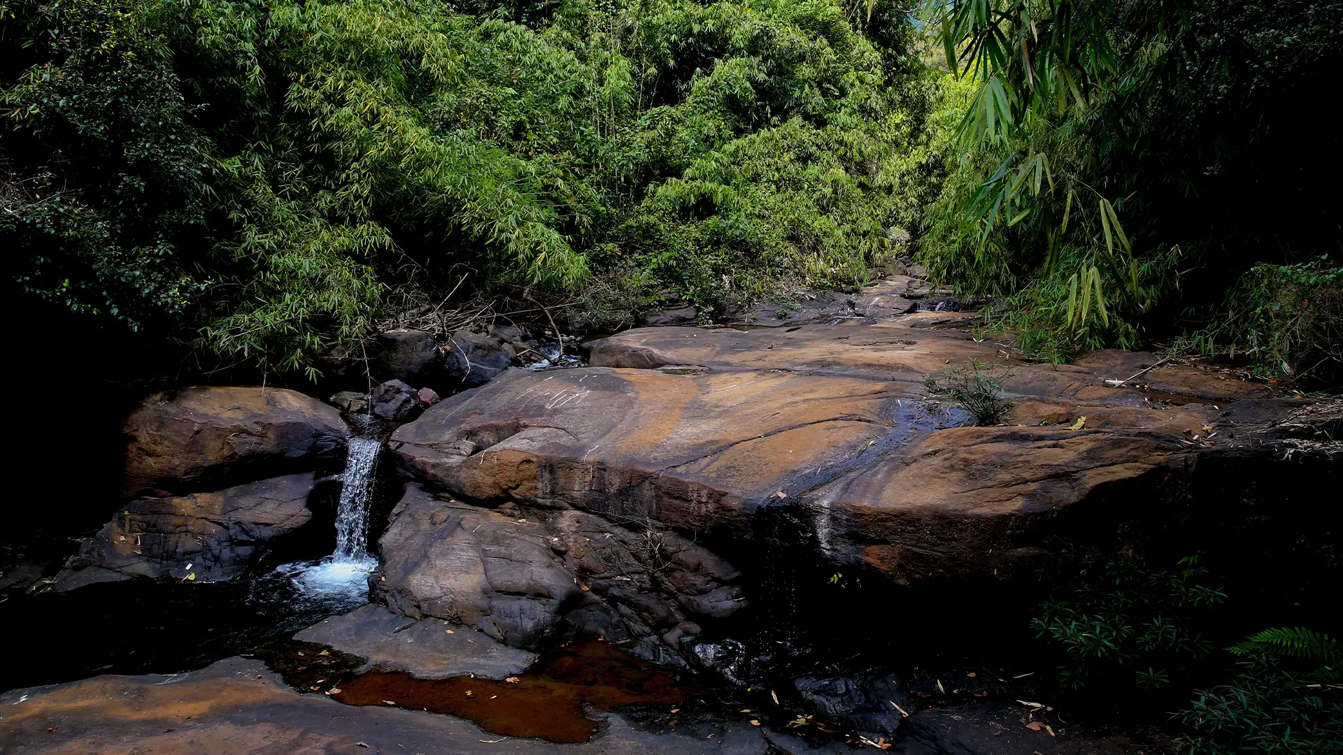 Ezharakkundu Waterfalls